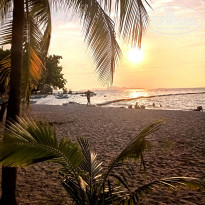 фото из отзыва ID 2318434