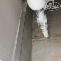 фото из отзыва ID 2318588