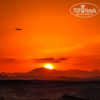 фото из отзыва ID 2318608