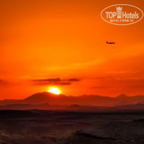 фото из отзыва ID 2318608