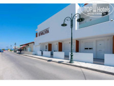 Bivalvia Beach Plus