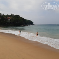 фото из отзыва ID 2318689