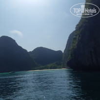 фото из отзыва ID 2318689