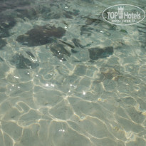 фото из отзыва ID 2318689