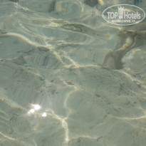 фото из отзыва ID 2318689