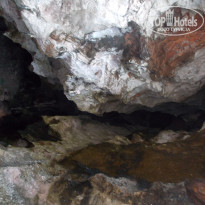 фото из отзыва ID 2318689