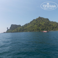 фото из отзыва ID 2318689