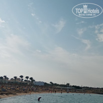 фото из отзыва ID 2318692