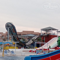 фото из отзыва ID 2318692