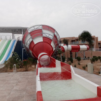 фото из отзыва ID 2318692