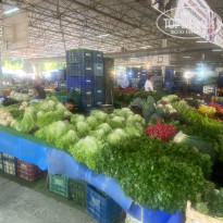 фото из отзыва ID 2318717