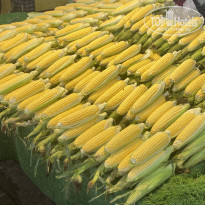 фото из отзыва ID 2318717