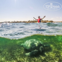 фото из отзыва ID 2318608