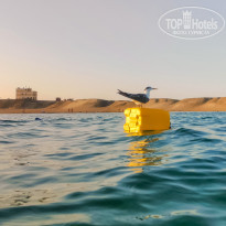 фото из отзыва ID 2318608