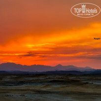 фото из отзыва ID 2318608