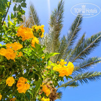 фото из отзыва ID 2318608