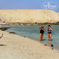 фото из отзыва ID 2318608