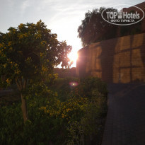 фото из отзыва ID 2318813