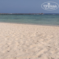 фото из отзыва ID 2318813