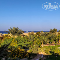 фото из отзыва ID 2318608