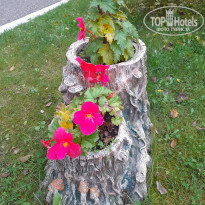 фото из отзыва ID 2318903