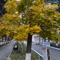 фото из отзыва ID 2318903