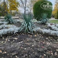 фото из отзыва ID 2318903