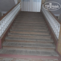 фото из отзыва ID 2318903