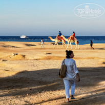 фото из отзыва ID 2318608