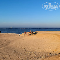 фото из отзыва ID 2318608