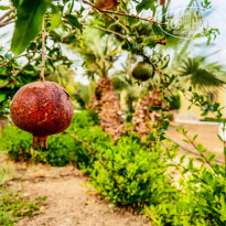 фото из отзыва ID 2318608