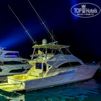 фото из отзыва ID 2318608