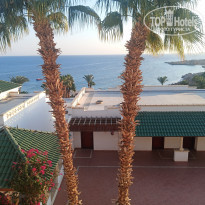 фото из отзыва ID 2318883