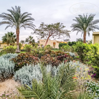 фото из отзыва ID 2318608