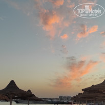 фото из отзыва ID 2317645