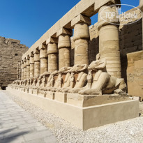 фото из отзыва ID 2318608