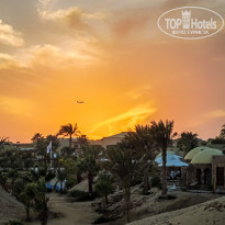 фото из отзыва ID 2318608