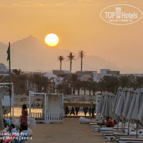 фото из отзыва ID 2319061