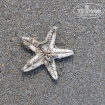 фото из отзыва ID 2319196