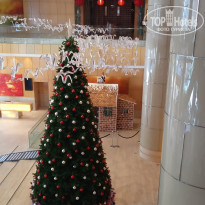 фото из отзыва ID 2319213