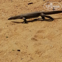 фото из отзыва ID 2319227