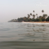 фото из отзыва ID 2319227