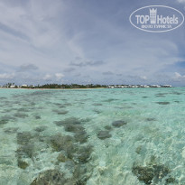 фото из отзыва ID 2319257