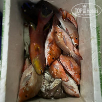 фото из отзыва ID 2319257