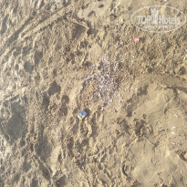 фото из отзыва ID 2319368