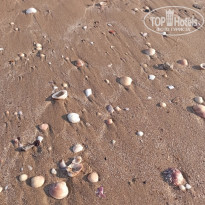 фото из отзыва ID 2319390