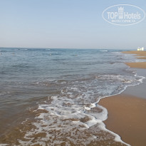 фото из отзыва ID 2319390