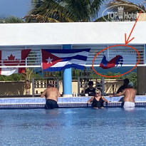 фото из отзыва ID 2319415