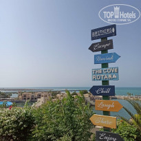 фото из отзыва ID 2319418