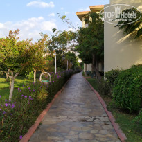 фото из отзыва ID 2319448